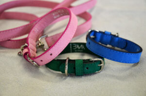 4zampe2 1 Bama Fashion