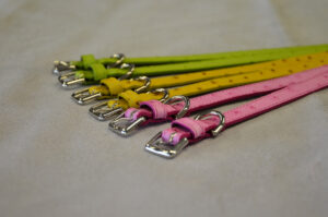 4zampe3 1 Bama Fashion